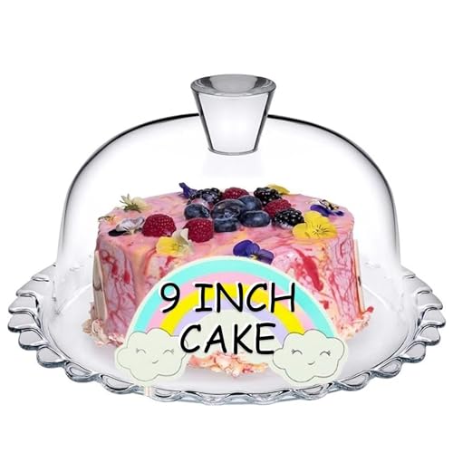 Glass Cake Stand with Dome 10 inch Serving Platter P128