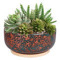8 Inch Terracotta Planter Shallow Succulent Bonsai Planter Pot with Drainage Hole and Bamboo Saucer for Indoor Plants Brown