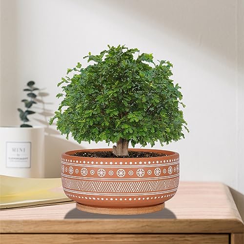 8 Inch Terracotta Succulent Planter Pot with Bamboo Tray L806