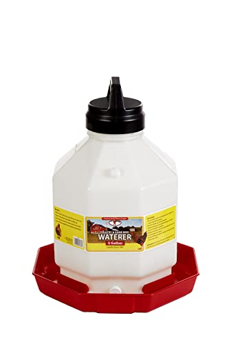 Little Giant® Plastic Poultry Waterer | Heavy Duty Plastic Gravity Fed Water Container | Easy to Fill | Snap on Jar | 3 Gallons