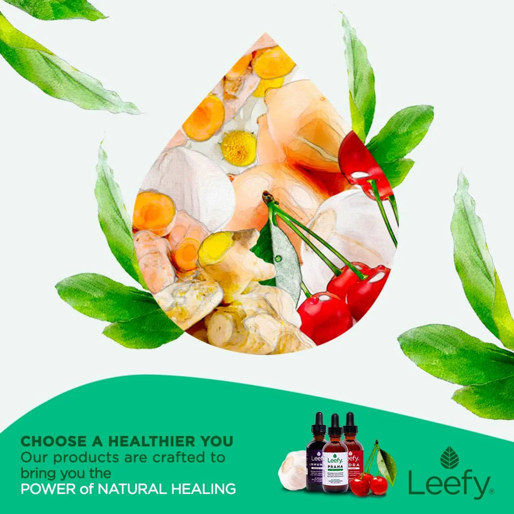 Leefy Organics PRANA V933