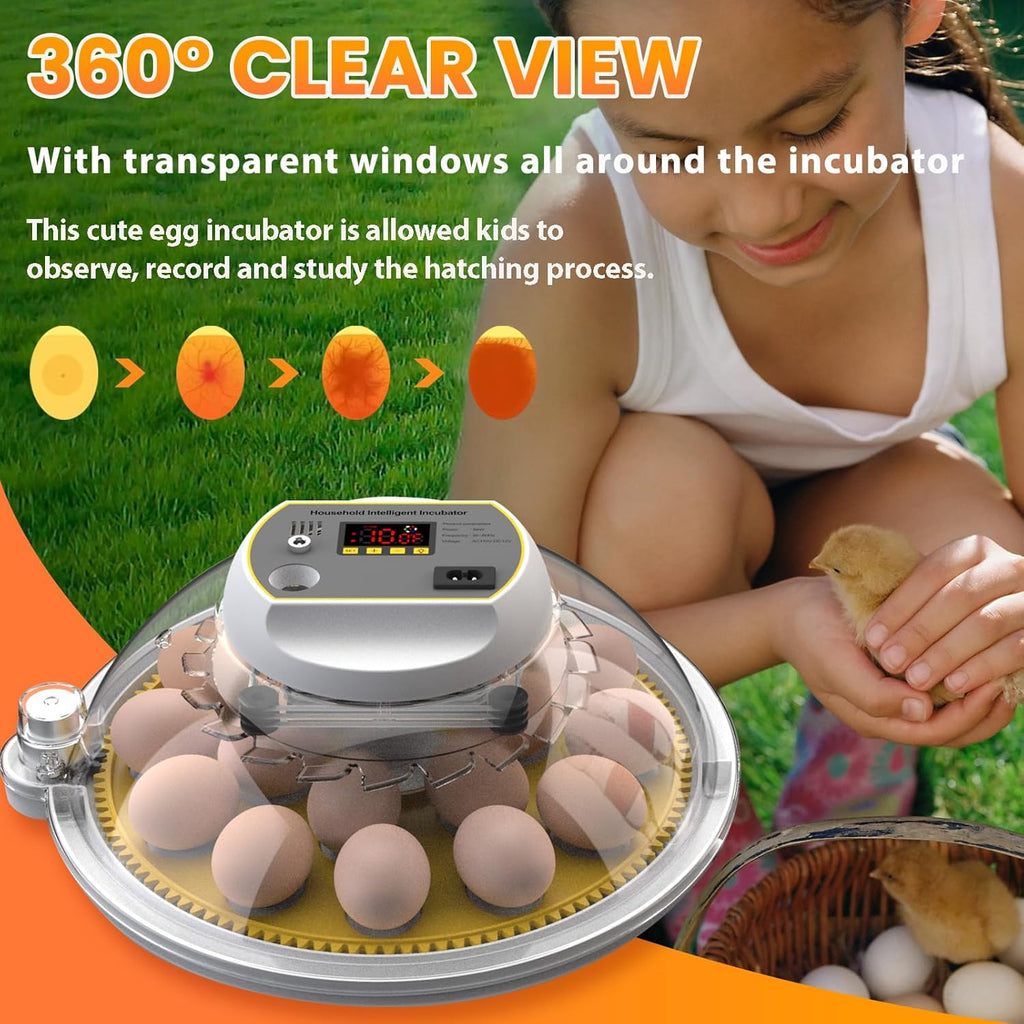 Incubators for Hatching Eggs, 18-60 Eggs with Auto Turning and Water Adding J66328