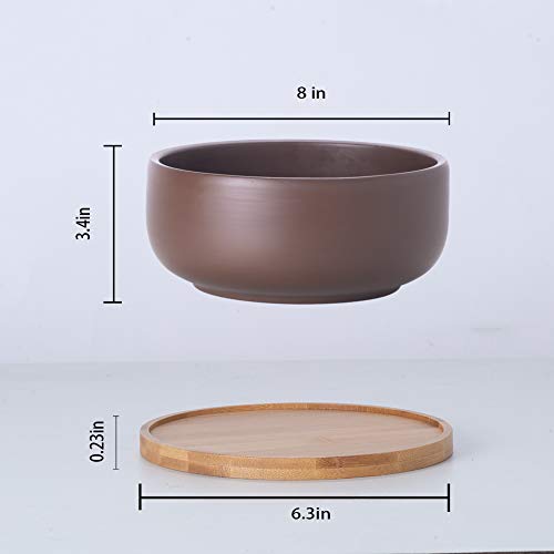 Terracotta Shallow Succulent Planter 8 Inch with Bamboo Tray Q954